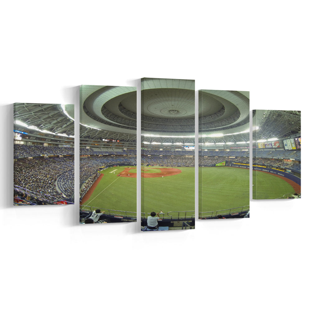 Dome Osaka Outfield, Stadium Canvas, Sport Art, Gift for him, 5 Panel, Large Canvas, Canvas Print Wall Art