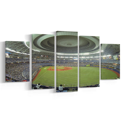 Dome Osaka Outfield, Stadium Canvas, Sport Art, Gift for him, 5 Panel, Large Canvas, Canvas Print Wall Art