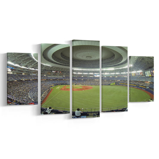Dome Osaka Outfield, Stadium Canvas, Sport Art, Gift for him, 5 Panel, Large Canvas, Canvas Print Wall Art