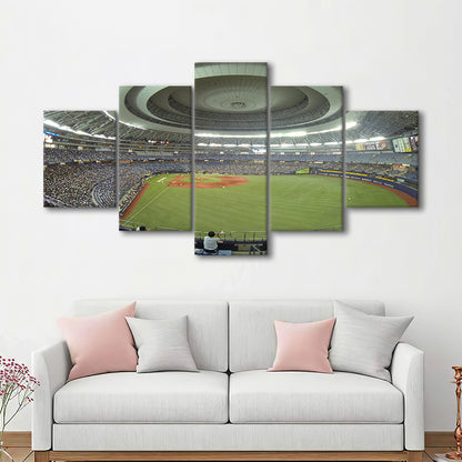 Dome Osaka Outfield, Stadium Canvas, Sport Art, Gift for him, 5 Panel, Large Canvas, Canvas Print Wall Art