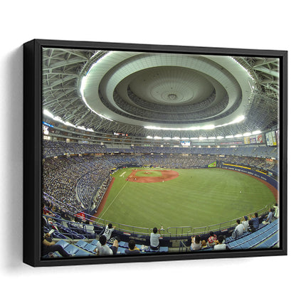 Dome Osaka Outfield, Stadium Canvas, Sport Art, Framed Canvas Print Wall Art, Floating Frame