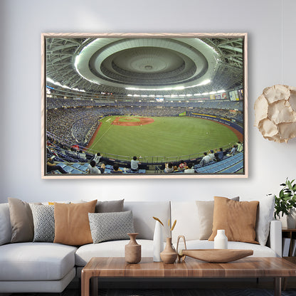Dome Osaka Outfield, Stadium Canvas, Sport Art, Framed Canvas Print Wall Art, Floating Frame