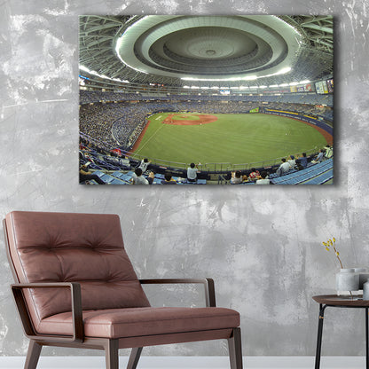 Dome Osaka Outfield, Stadium Canvas, Sport Art, Gift for him, Man Cave Decor, Art Print, Canvas Print Wall Art