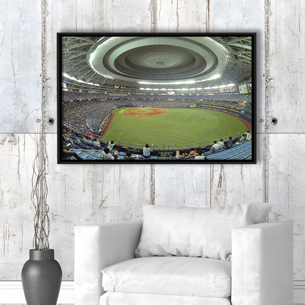 Dome Osaka Outfield, Stadium Canvas, Sport Art, Framed Canvas Print Wall Art, Floating Frame
