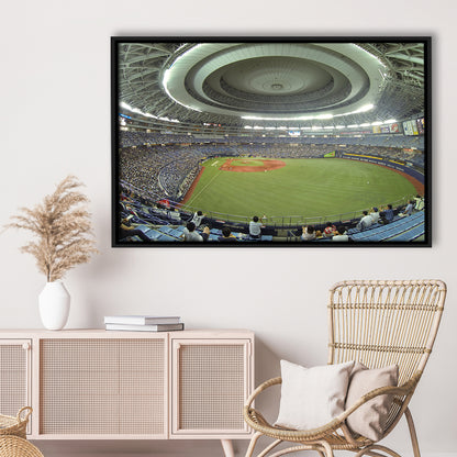 Dome Osaka Outfield, Stadium Canvas, Sport Art, Framed Canvas Print Wall Art, Floating Frame