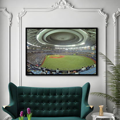 Dome Osaka Outfield, Stadium Canvas, Sport Art, Gift for him, Framed Art Print Wall Decor, Picture Framed