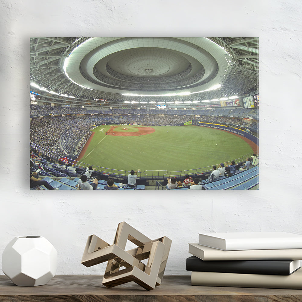 Dome Osaka Outfield, Stadium Canvas, Sport Art, Gift for him, Man Cave Decor, Art Print, Canvas Print Wall Art