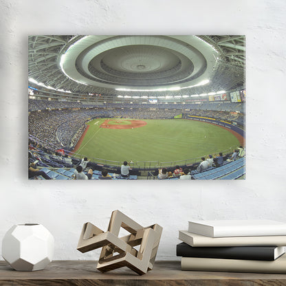 Dome Osaka Outfield, Stadium Canvas, Sport Art, Gift for him, Man Cave Decor, Art Print, Canvas Print Wall Art