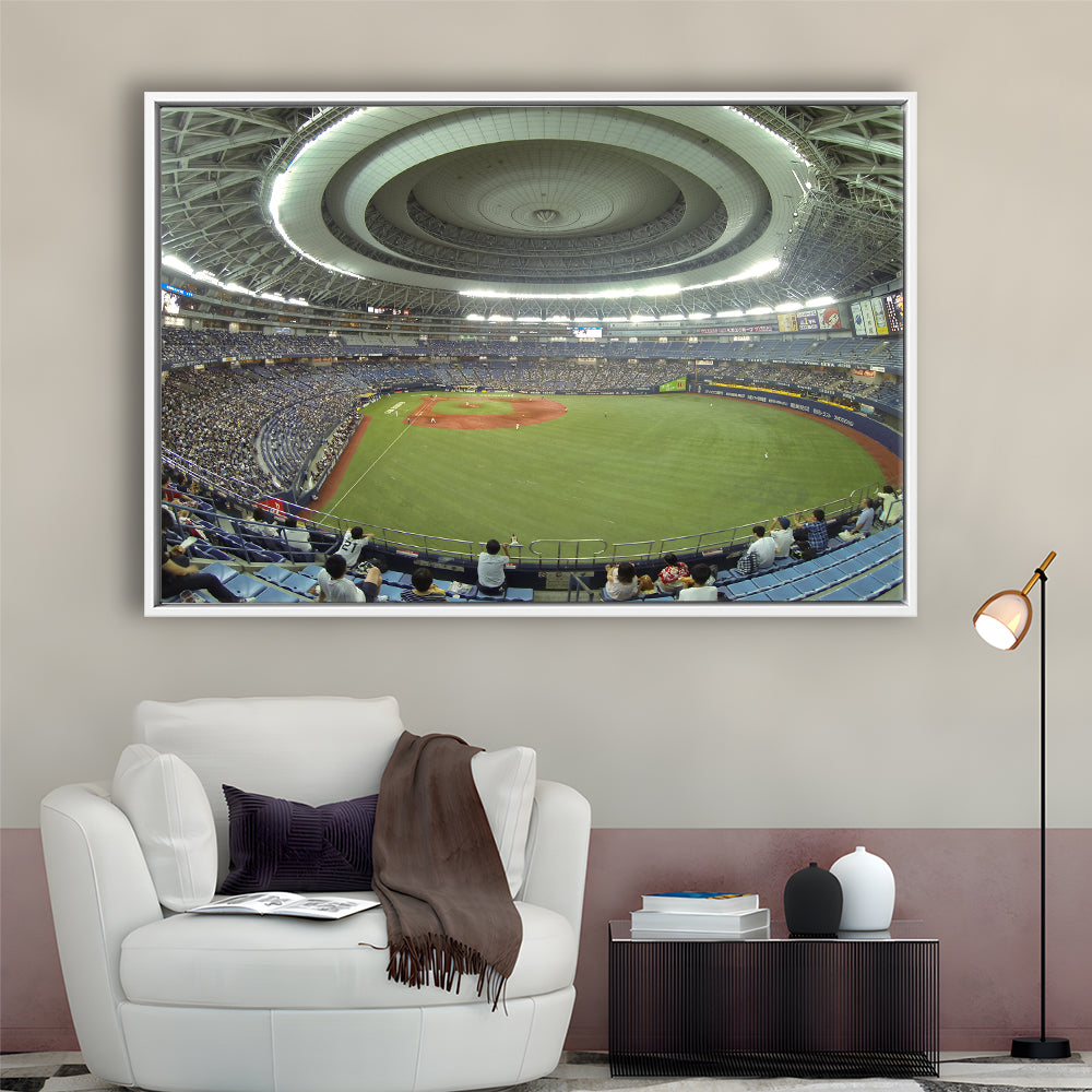 Dome Osaka Outfield, Stadium Canvas, Sport Art, Framed Canvas Print Wall Art, Floating Frame