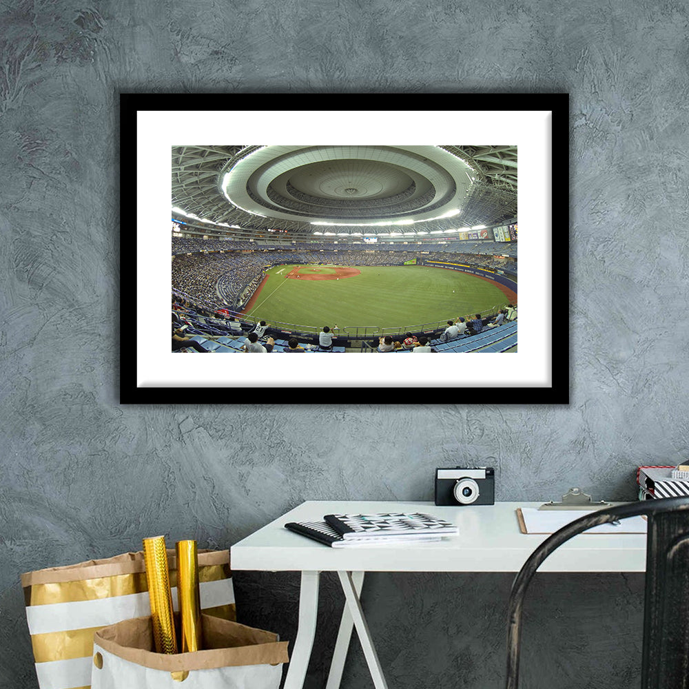 Dome Osaka Outfield, Stadium Canvas, Sport Art, Gift for him, White Border Framed Art Print Wall Decor