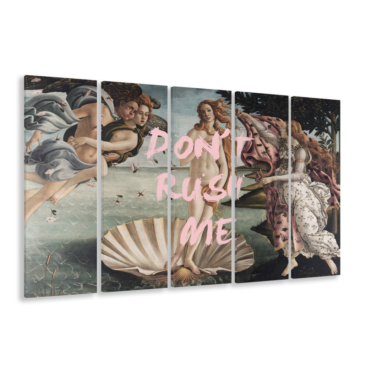 Don'T Rush Me Venus Art, Canvas Art Print, Painting Art, Multi Panels Canvas Print Wall Art