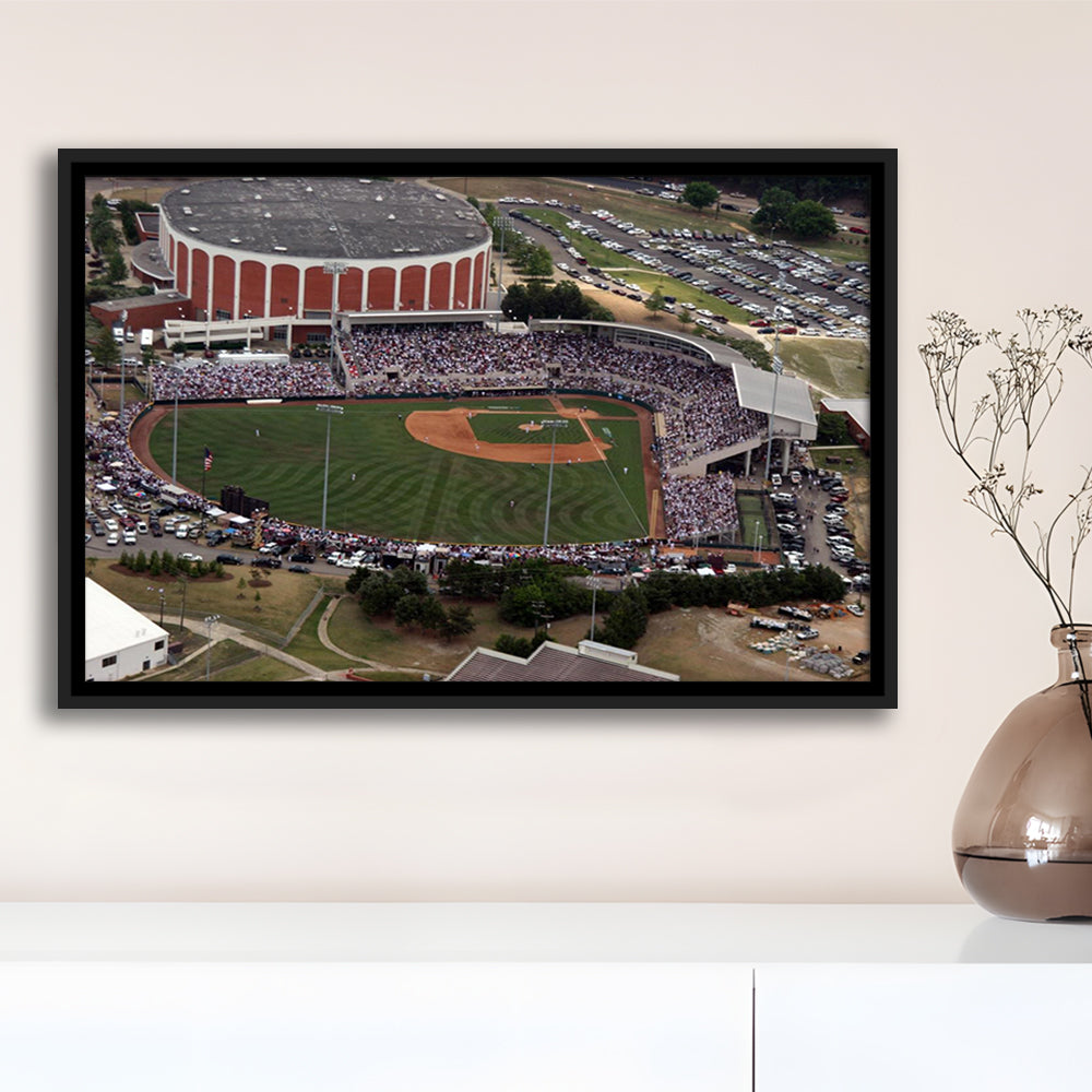 Dudy Noble Field Aerial View, Stadium Canvas, Sport Art, Framed Canvas Print Wall Art, Floating Frame