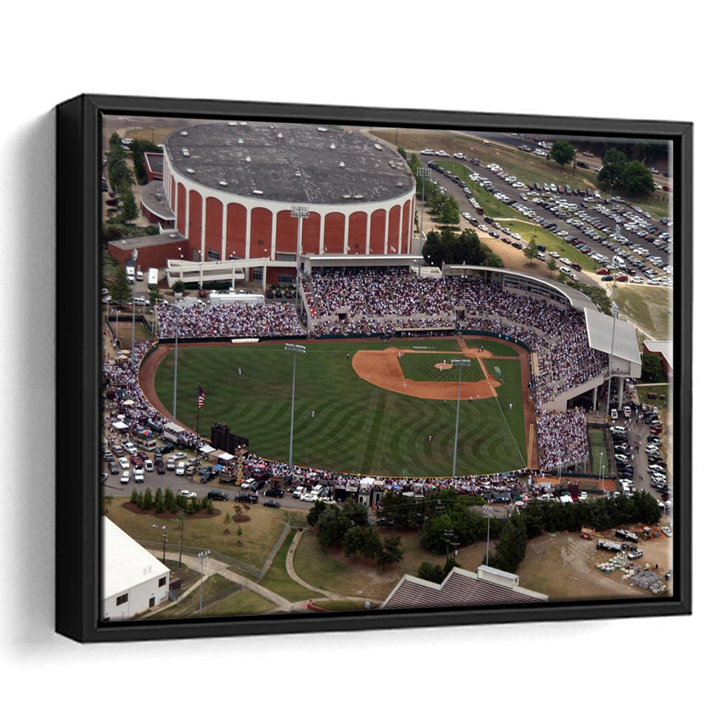 Dudy Noble Field Aerial View, Stadium Canvas, Sport Art, Framed Canvas Print Wall Art, Floating Frame