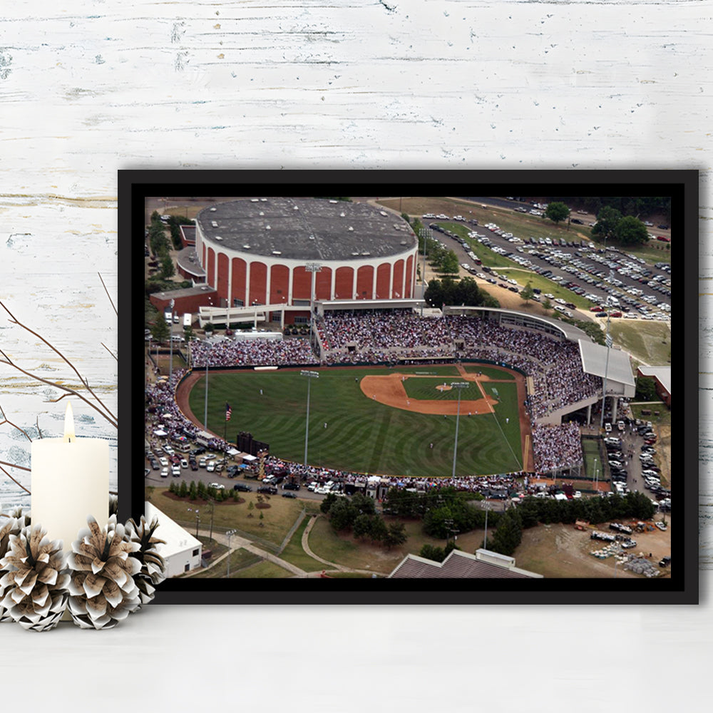 Dudy Noble Field Aerial View, Stadium Canvas, Sport Art, Framed Canvas Print Wall Art, Floating Frame