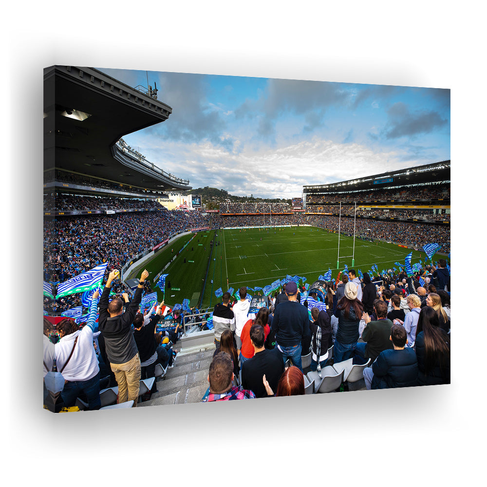 Eden Park New Zealand, Stadium Canvas, Sport Art, Gift for him, Man Cave Decor, Art Print, Canvas Print Wall Art
