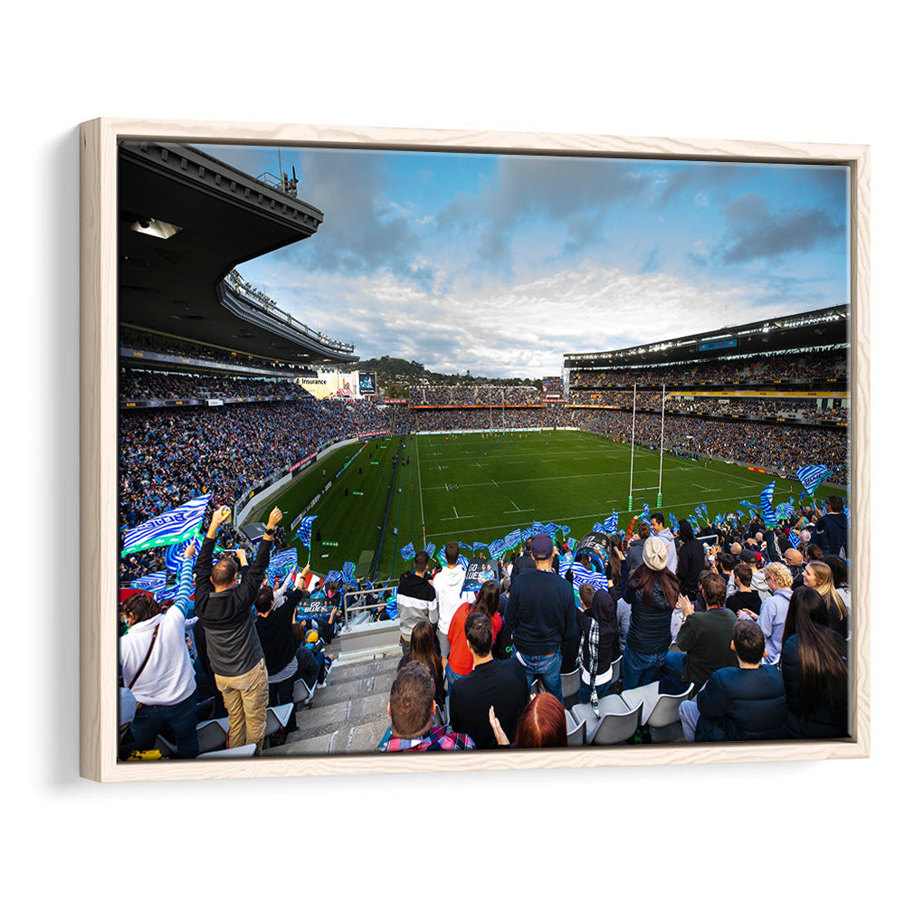 Eden Park New Zealand, Stadium Canvas, Sport Art, Framed Canvas Print Wall Art, Floating Frame