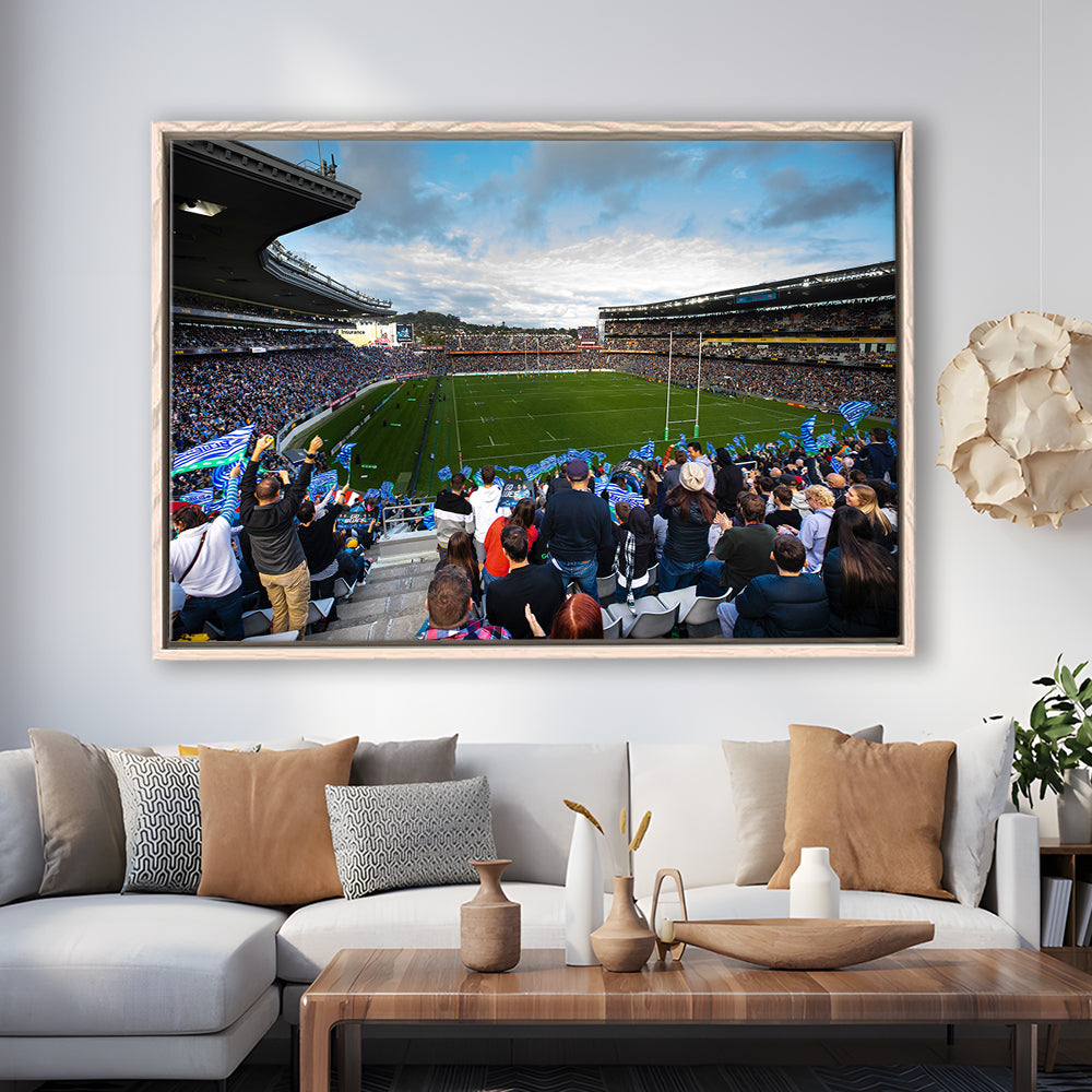 Eden Park New Zealand, Stadium Canvas, Sport Art, Framed Canvas Print Wall Art, Floating Frame