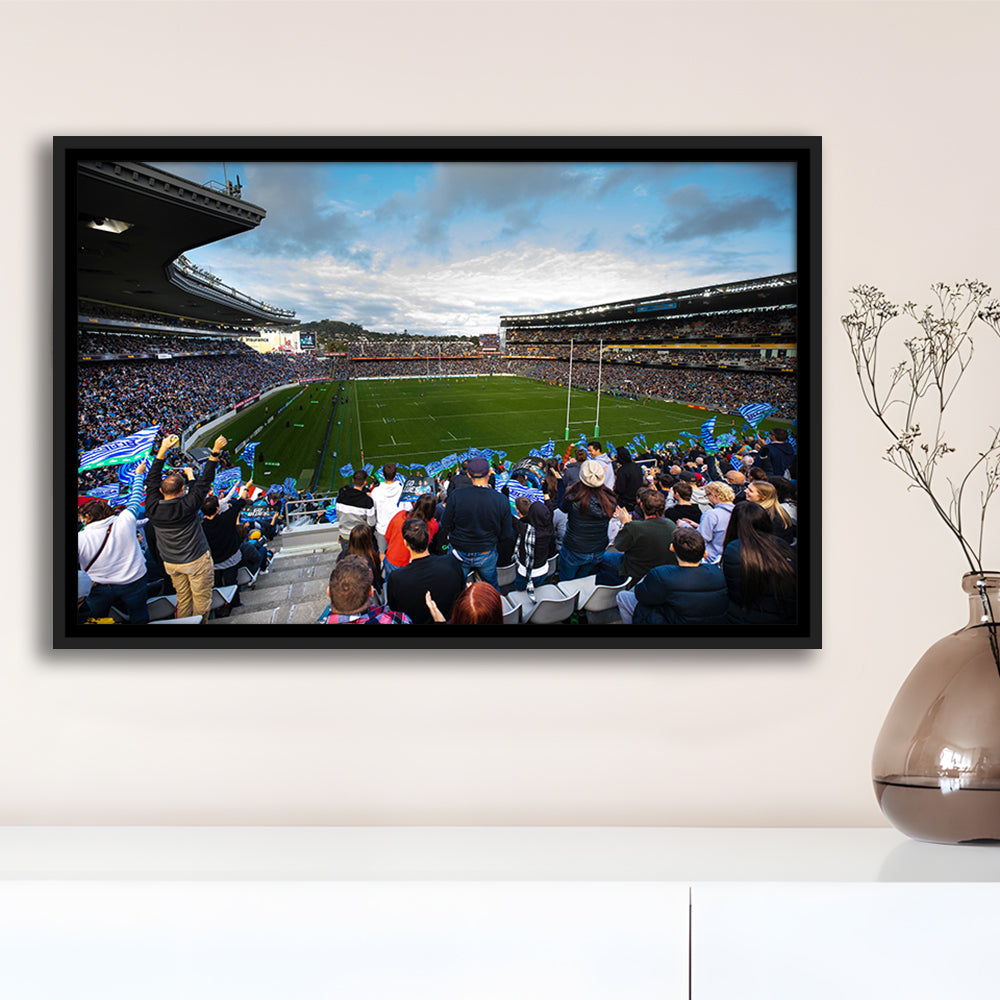 Eden Park New Zealand, Stadium Canvas, Sport Art, Framed Canvas Print Wall Art, Floating Frame