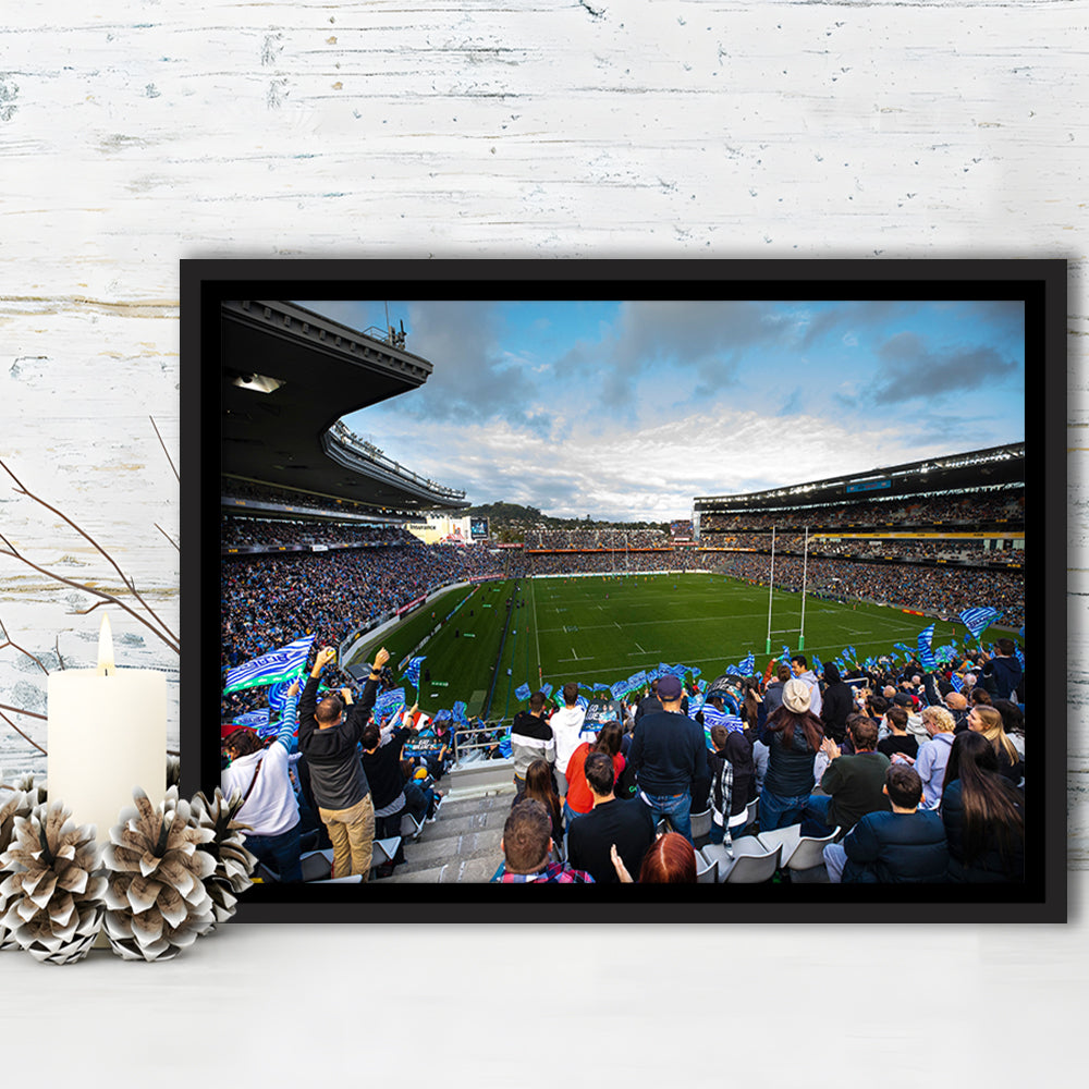 Eden Park New Zealand, Stadium Canvas, Sport Art, Framed Canvas Print Wall Art, Floating Frame