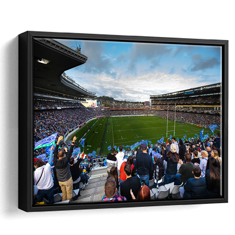 Eden Park New Zealand, Stadium Canvas, Sport Art, Framed Canvas Print Wall Art, Floating Frame