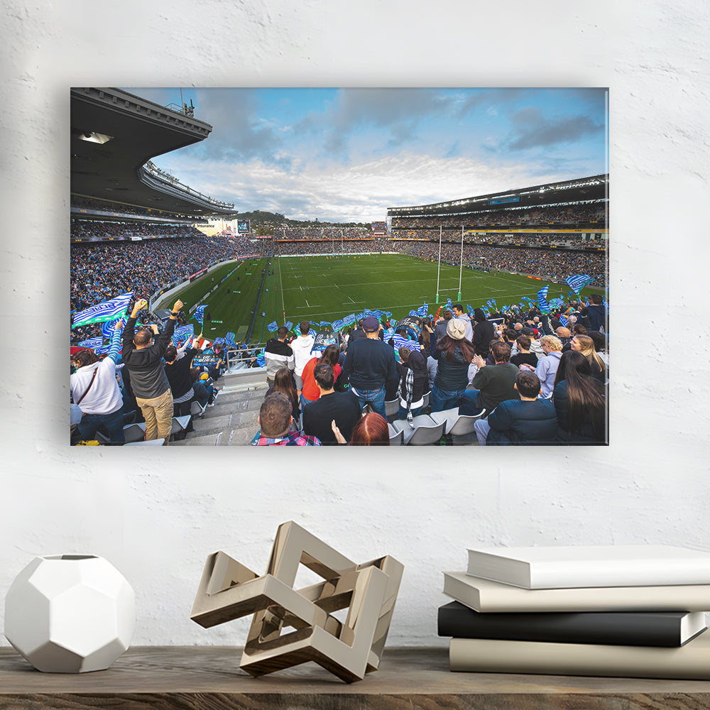 Eden Park New Zealand, Stadium Canvas, Sport Art, Gift for him, Man Cave Decor, Art Print, Canvas Print Wall Art
