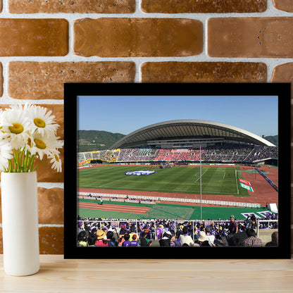 Edion Stadium Hiroshima, Stadium Canvas, Sport Art, Gift for him, Framed Art Print Wall Decor, Picture Framed