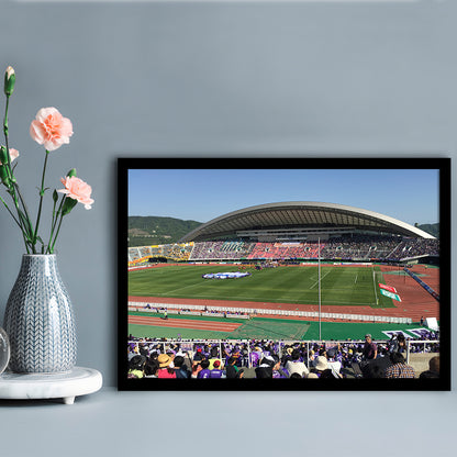 Edion Stadium Hiroshima, Stadium Canvas, Sport Art, Gift for him, Framed Art Print Wall Decor, Picture Framed