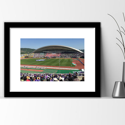 Edion Stadium Hiroshima, Stadium Canvas, Sport Art, Gift for him, White Border Framed Art Print Wall Decor