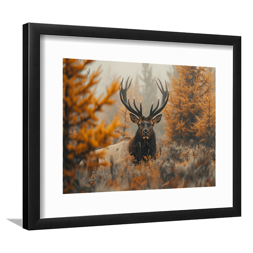 Elk With Antlers Lying In A Dense Autum, Hunting Art Decor, Painting Art, Framed Art Print White Border Wall Decor