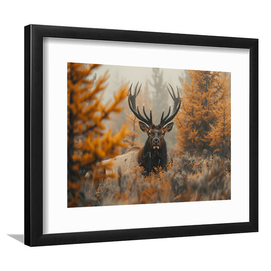 Elk With Antlers Lying In A Dense Autum, Hunting Art Decor, Painting Art, Framed Art Print White Border Wall Decor