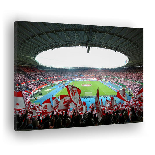 Ernst Happel Stadion Wien, Stadium Canvas, Sport Art, Gift for him, Man Cave Decor, Art Print, Canvas Print Wall Art