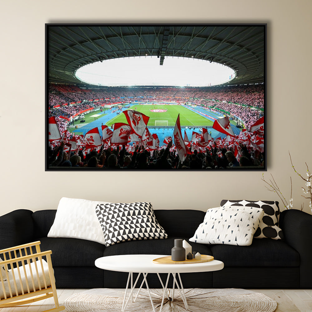 Ernst Happel Stadion Wien, Stadium Canvas, Sport Art, Framed Canvas Print Wall Art, Floating Frame