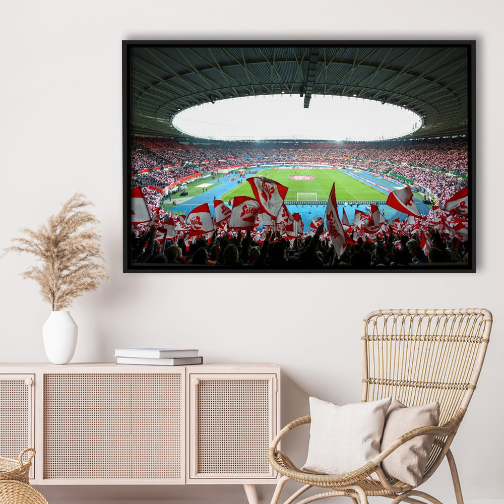 Ernst Happel Stadion Wien, Stadium Canvas, Sport Art, Framed Canvas Print Wall Art, Floating Frame