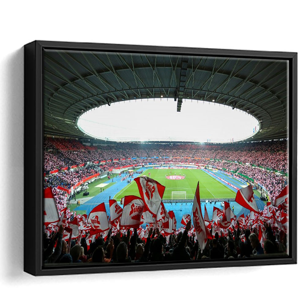 Ernst Happel Stadion Wien, Stadium Canvas, Sport Art, Framed Canvas Print Wall Art, Floating Frame