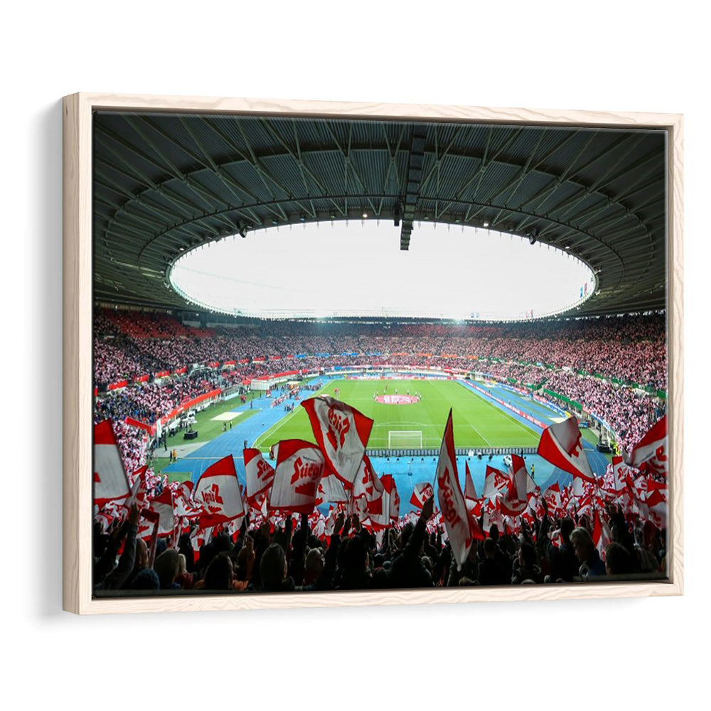Ernst Happel Stadion Wien, Stadium Canvas, Sport Art, Framed Canvas Print Wall Art, Floating Frame