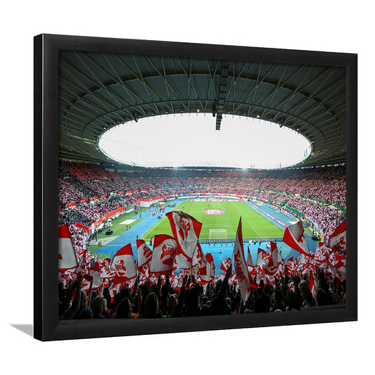 Ernst Happel Stadion Wien, Stadium Canvas, Sport Art, Gift for him, Framed Art Print Wall Decor, Picture Framed