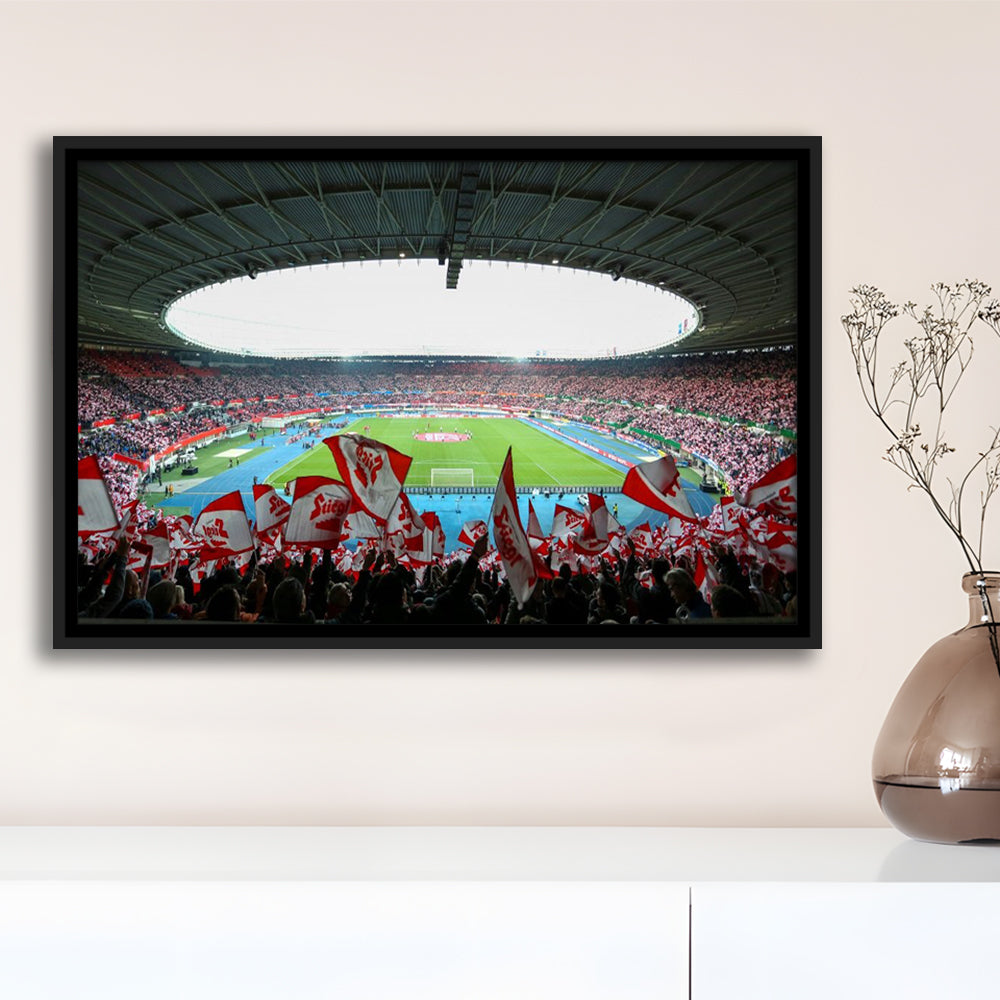 Ernst Happel Stadion Wien, Stadium Canvas, Sport Art, Framed Canvas Print Wall Art, Floating Frame