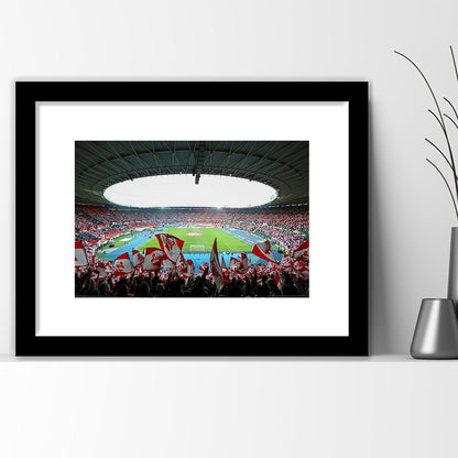 Ernst Happel Stadion Wien, Stadium Canvas, Sport Art, Gift for him, White Border Framed Art Print Wall Decor