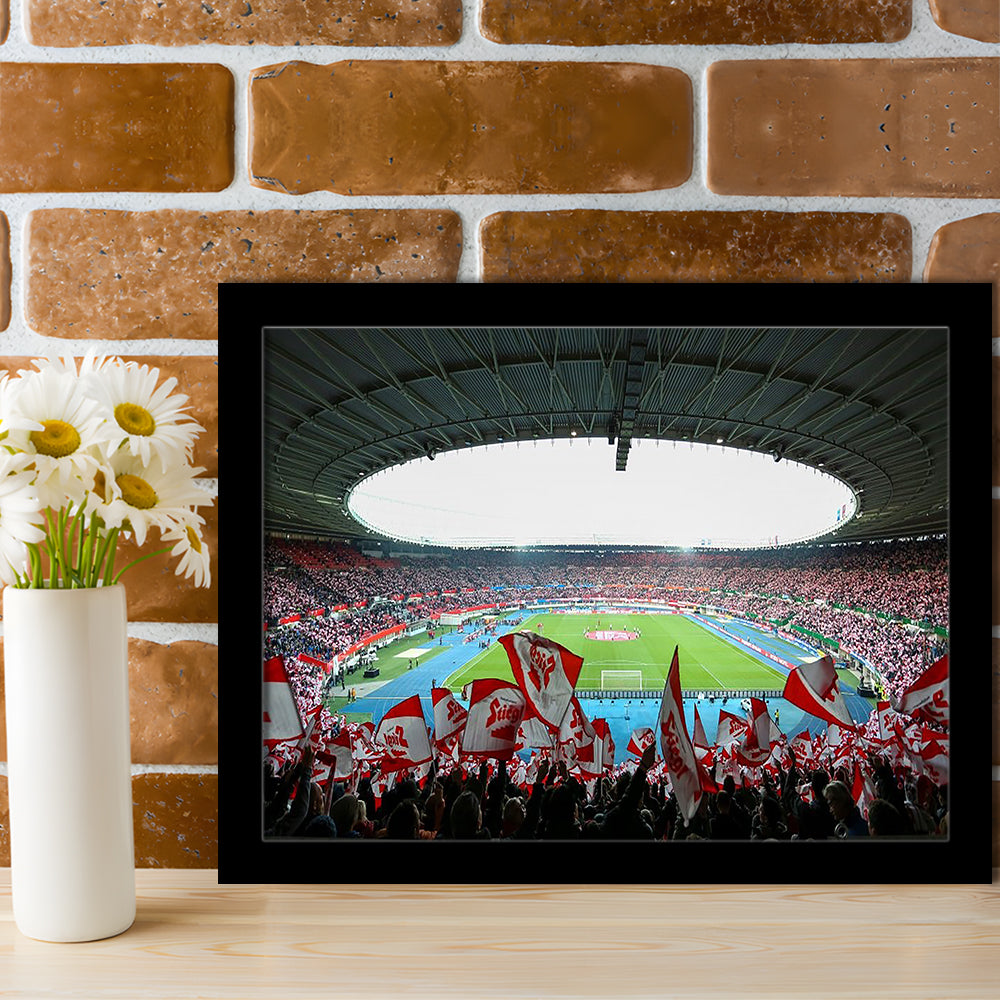 Ernst Happel Stadion Wien, Stadium Canvas, Sport Art, Gift for him, Framed Art Print Wall Decor, Picture Framed