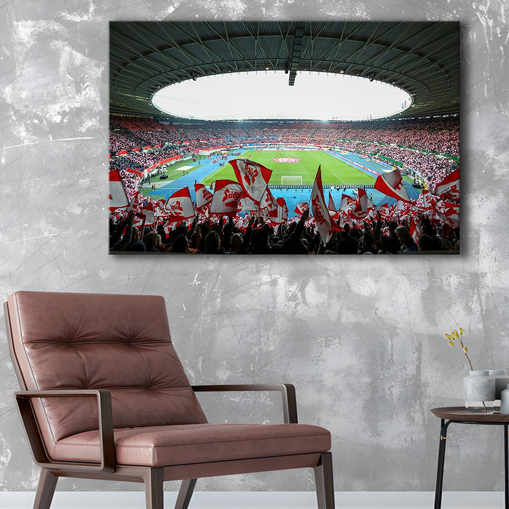 Ernst Happel Stadion Wien, Stadium Canvas, Sport Art, Gift for him, Man Cave Decor, Art Print, Canvas Print Wall Art