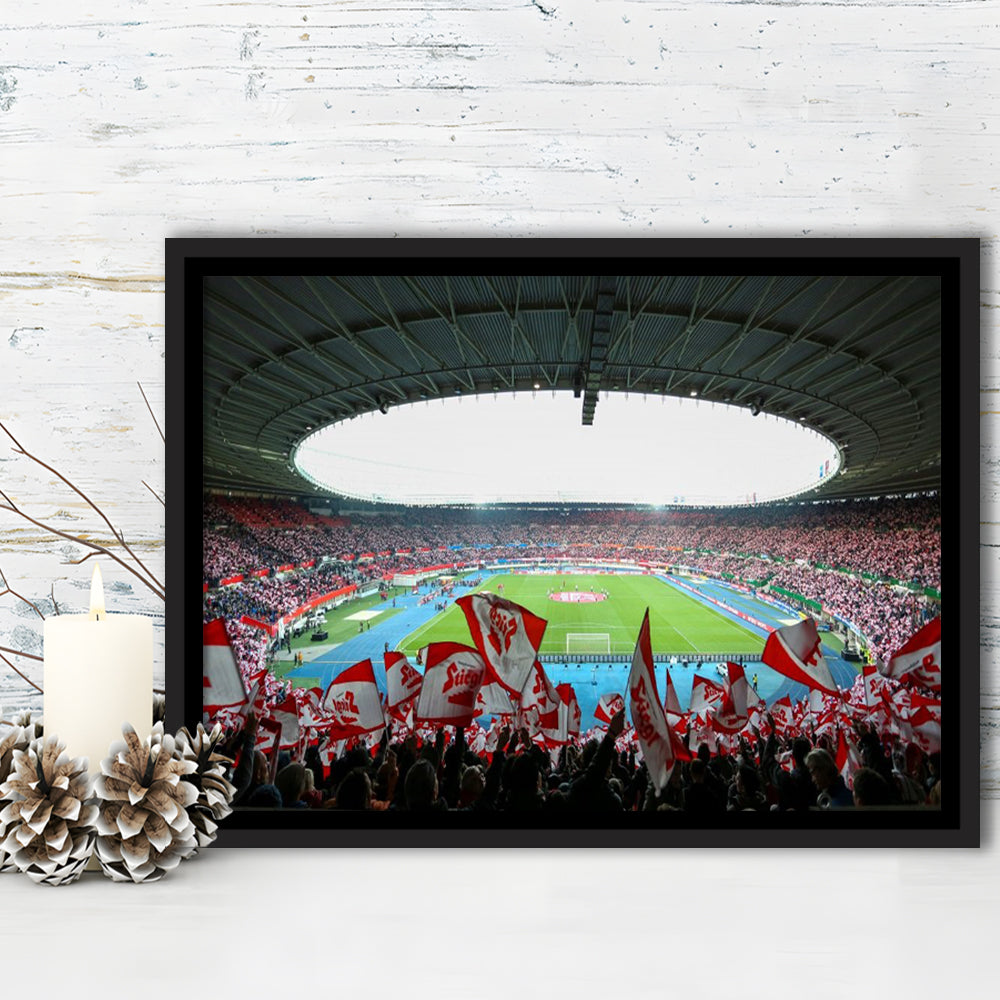 Ernst Happel Stadion Wien, Stadium Canvas, Sport Art, Framed Canvas Print Wall Art, Floating Frame