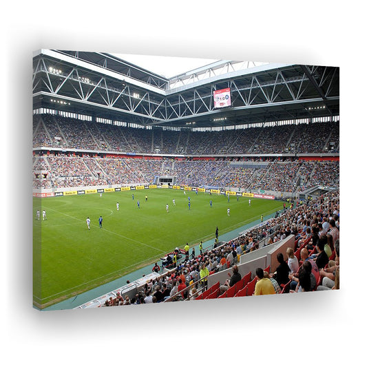 Esprit Arena, Stadium Canvas, Sport Art, Gift for him, Man Cave Decor, Art Print, Canvas Print Wall Art
