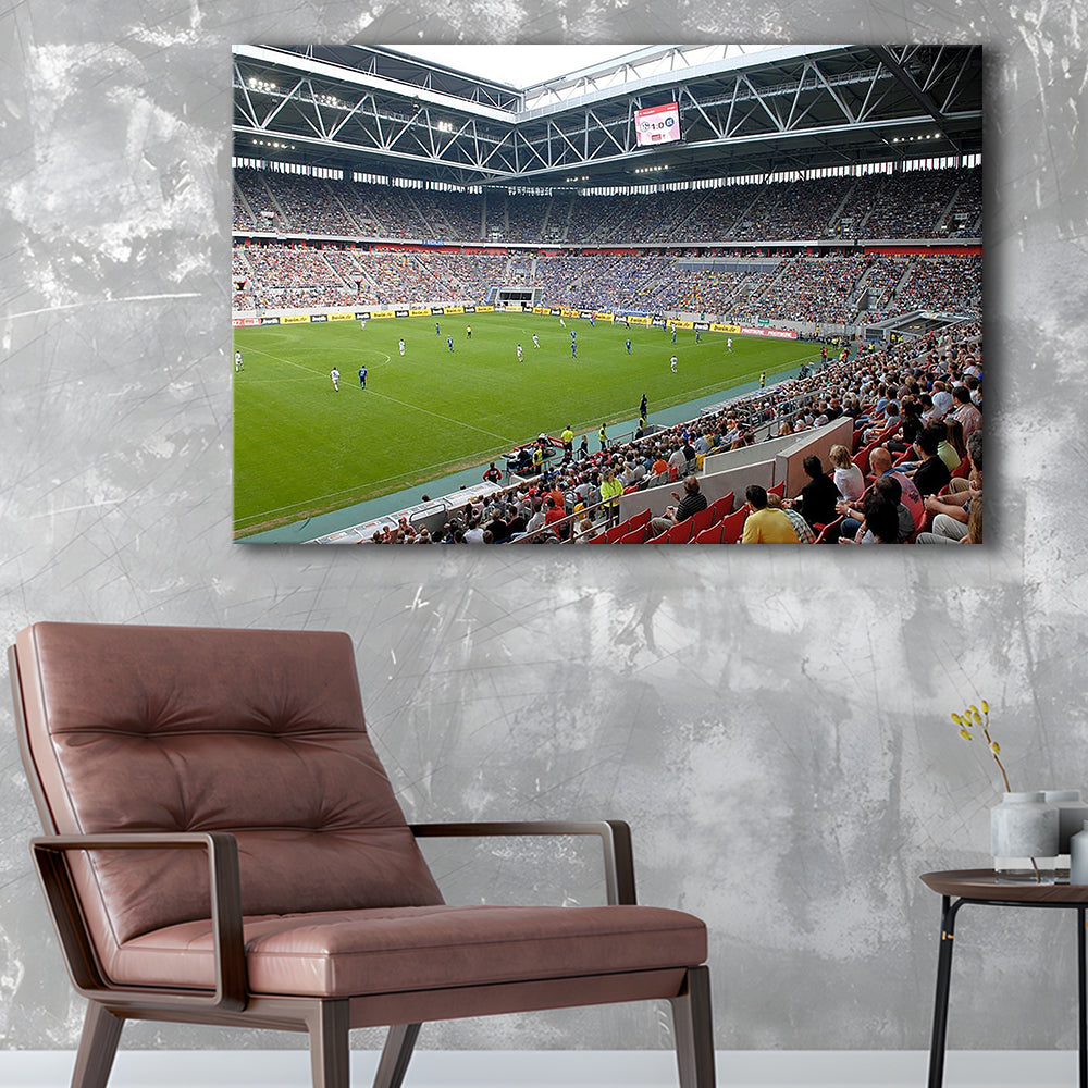 Esprit Arena, Stadium Canvas, Sport Art, Gift for him, Man Cave Decor, Art Print, Canvas Print Wall Art