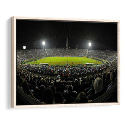 Estadio Centenario, Stadium Canvas, Sport Art, Framed Canvas Print Wall Art, Floating Frame