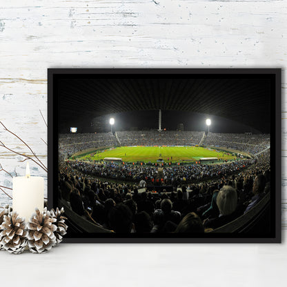Estadio Centenario, Stadium Canvas, Sport Art, Framed Canvas Print Wall Art, Floating Frame