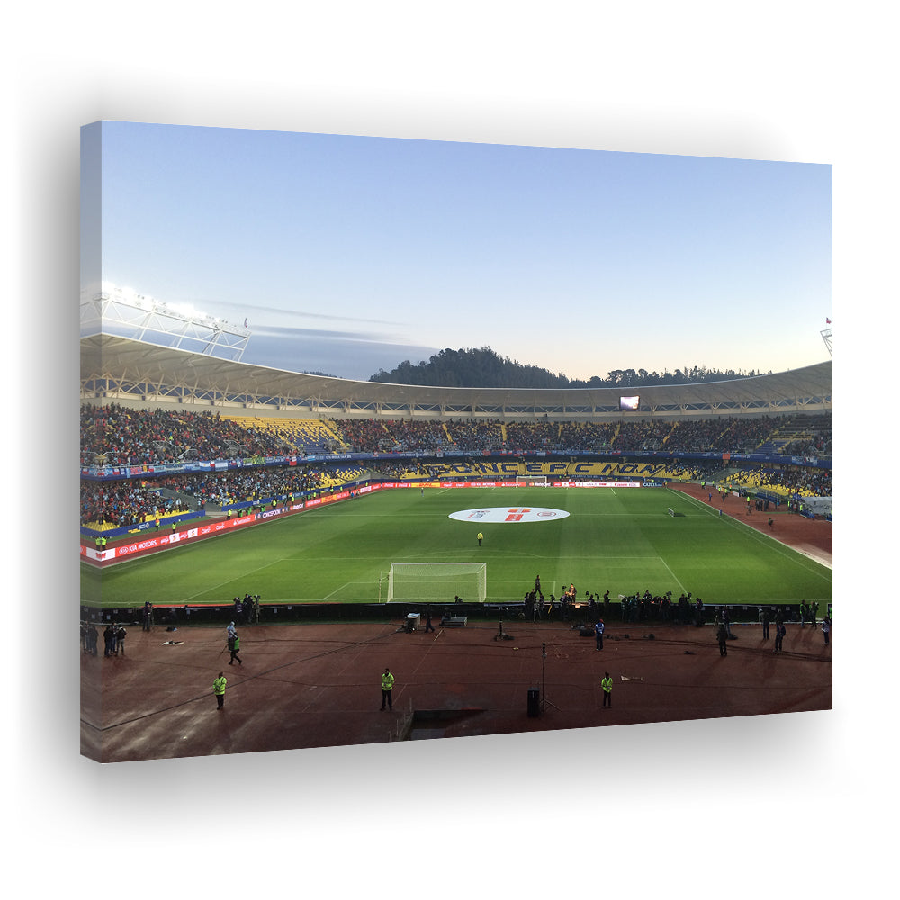 Estadio Ester Roa, Stadium Canvas, Sport Art, Gift for him, Man Cave Decor, Art Print, Canvas Print Wall Art