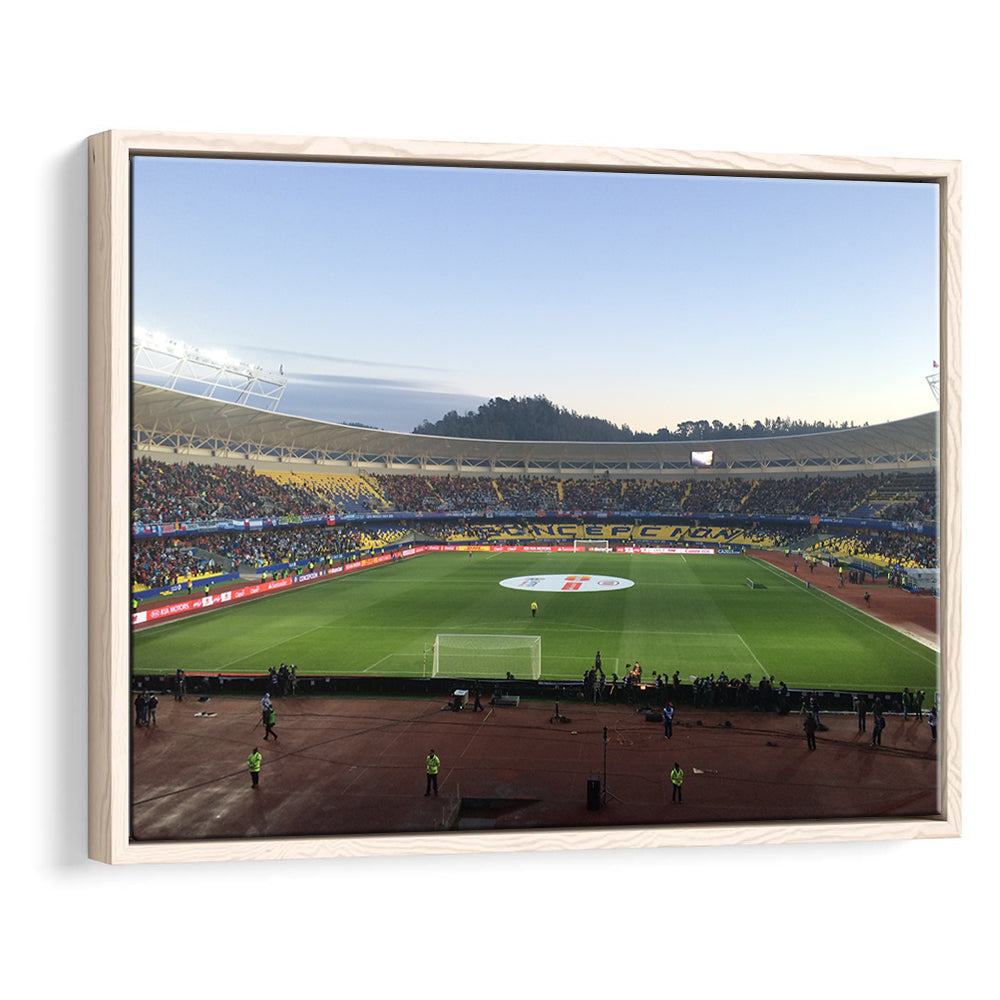 Estadio Ester Roa, Stadium Canvas, Sport Art, Framed Canvas Print Wall Art, Floating Frame