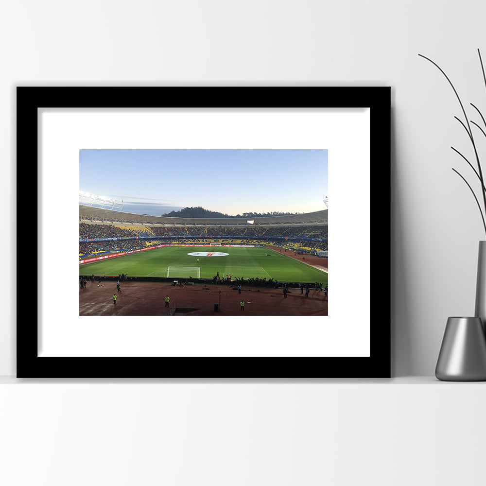 Estadio Ester Roa, Stadium Canvas, Sport Art, Gift for him, White Border Framed Art Print Wall Decor