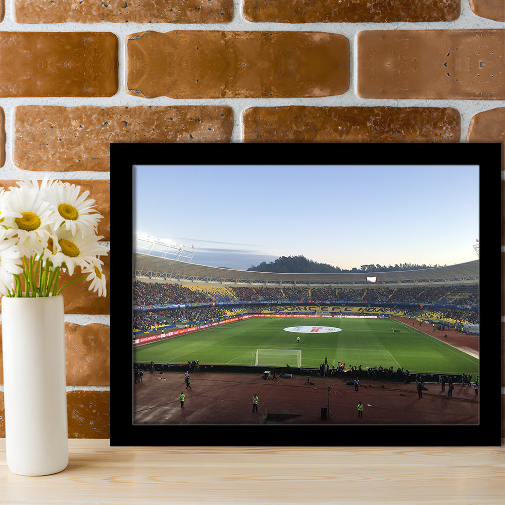 Estadio Ester Roa, Stadium Canvas, Sport Art, Gift for him, Framed Art Print Wall Decor, Picture Framed