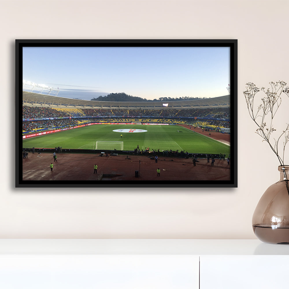 Estadio Ester Roa, Stadium Canvas, Sport Art, Framed Canvas Print Wall Art, Floating Frame